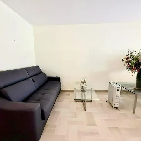 Gray D Vue Apartament