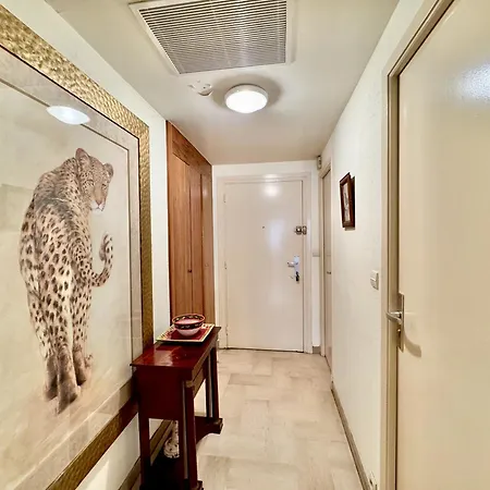 Appartement Gray D Vue Cannes